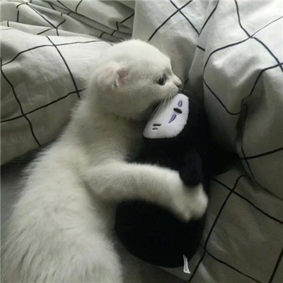 慧眼